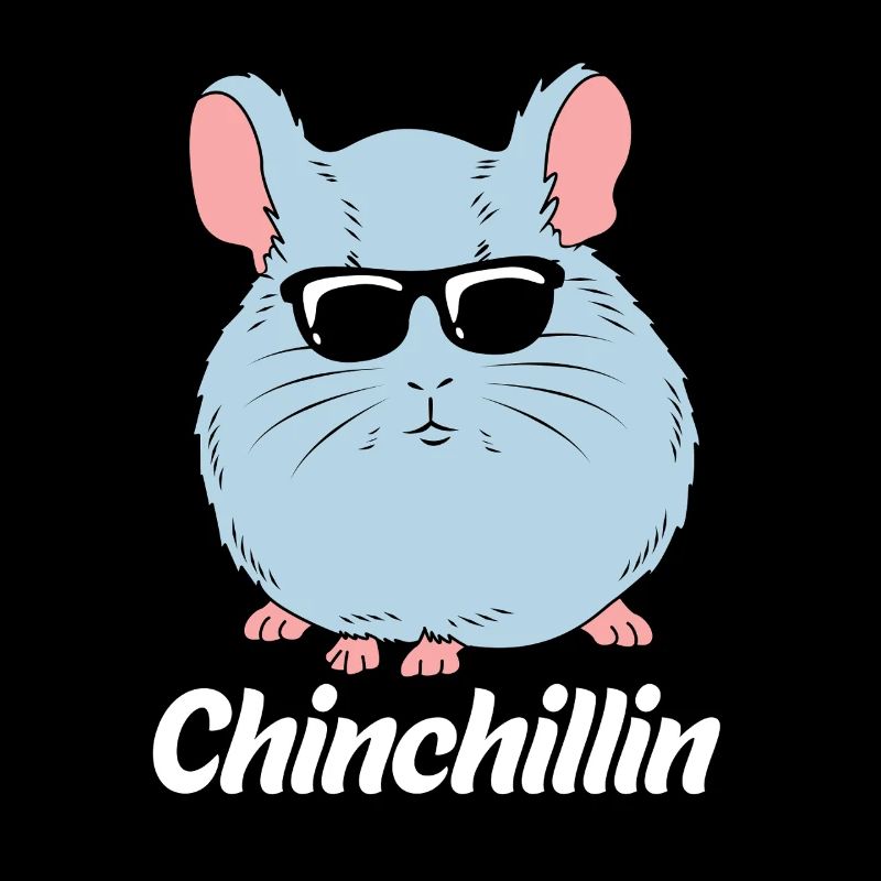 Chinchilla