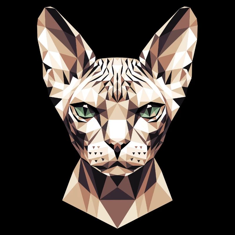 Sphynx Chat Sphynx Chat Chat Canadien Sphinx mignon