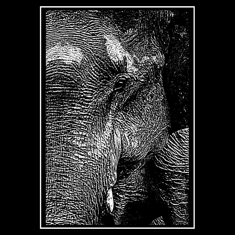 Eléphant blanc