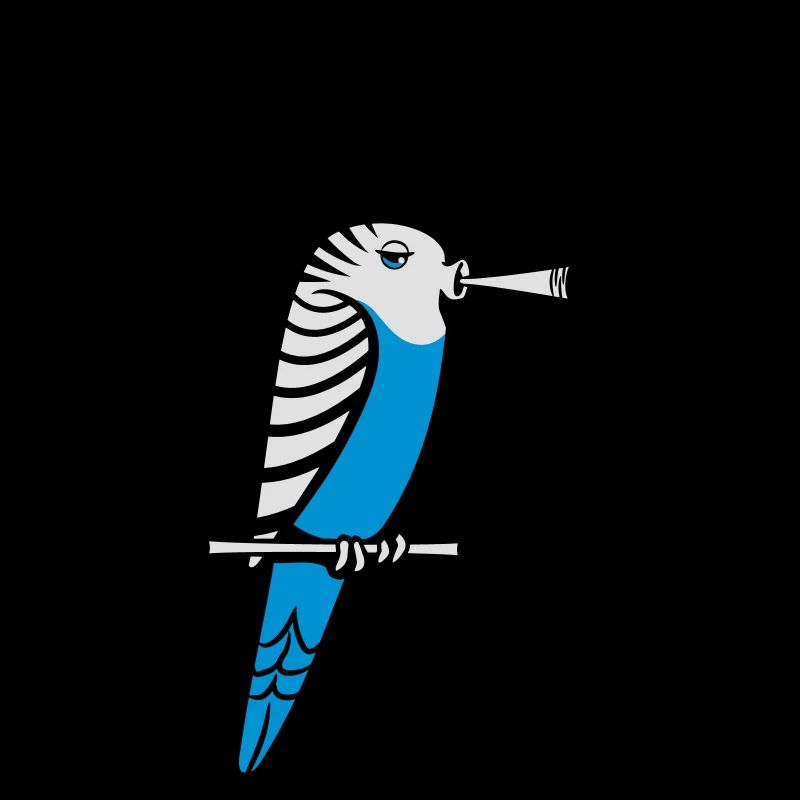 wellensittich joint kiffen