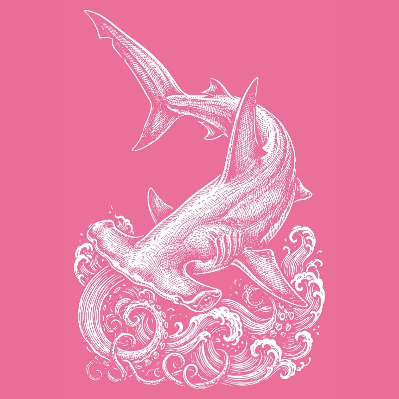 Conception du requin-marteau