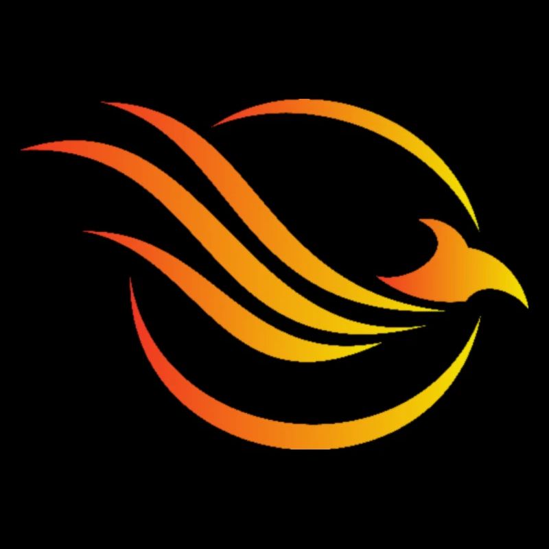 Team Phoenix