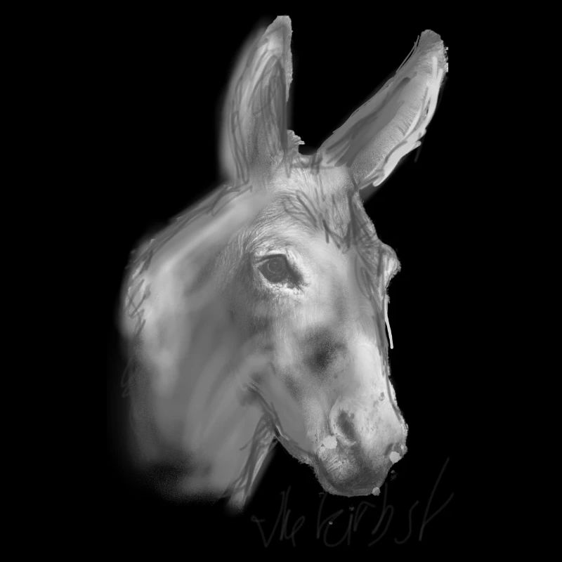 Donkey, Graffiti, Painting, Grey, Brown