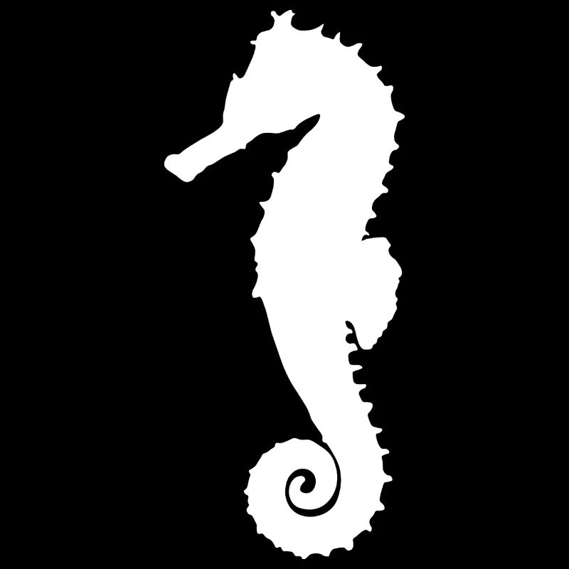 Hippocampe blanc