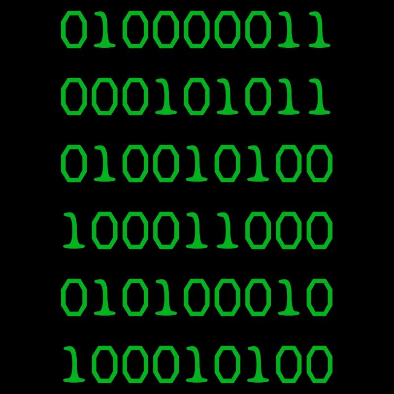 Code binaire vert développeur web humour drôle