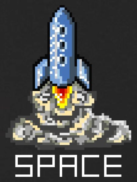 Space Flight