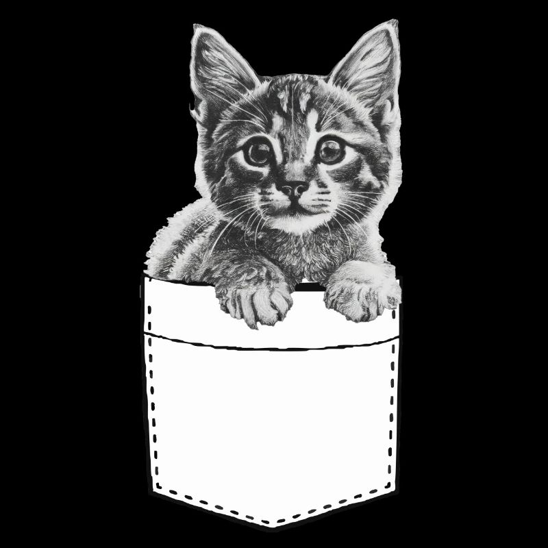 Petit chat mignon dans un sac
