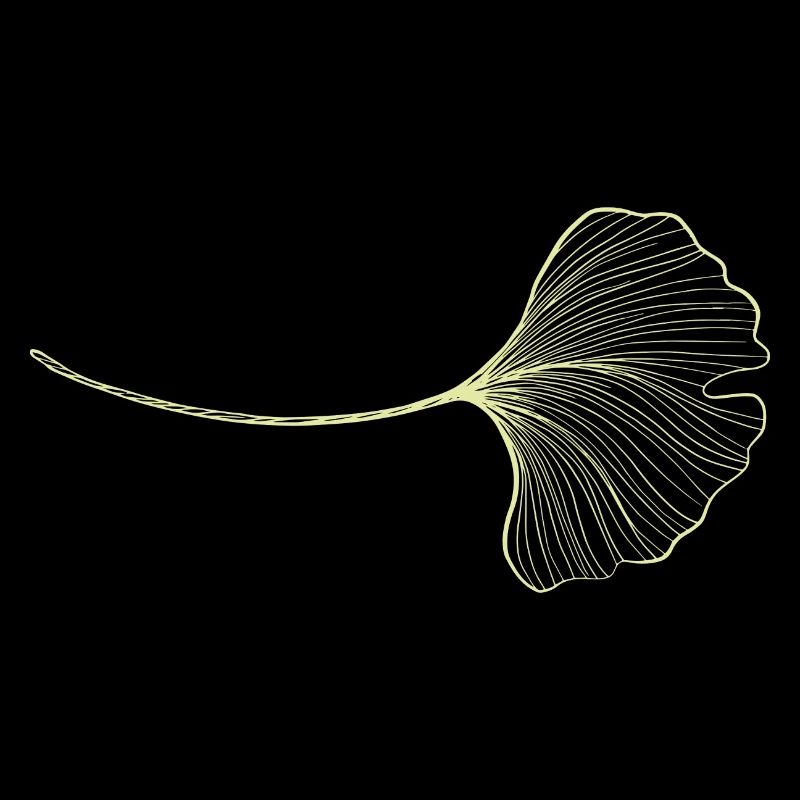 Ginko Ginkgo Leaf