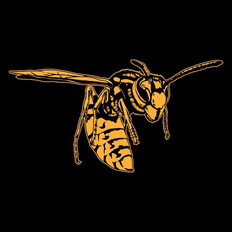 Cool Wasp Insect Sketch Graphic Wasp Animal Lover