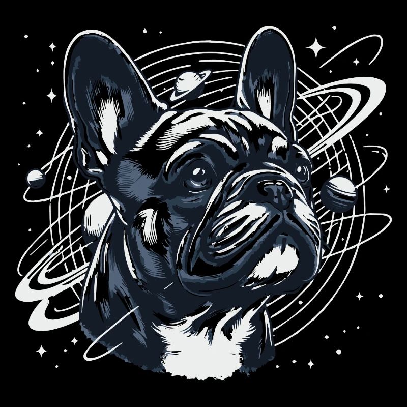 Frenchi dans l’espace 3