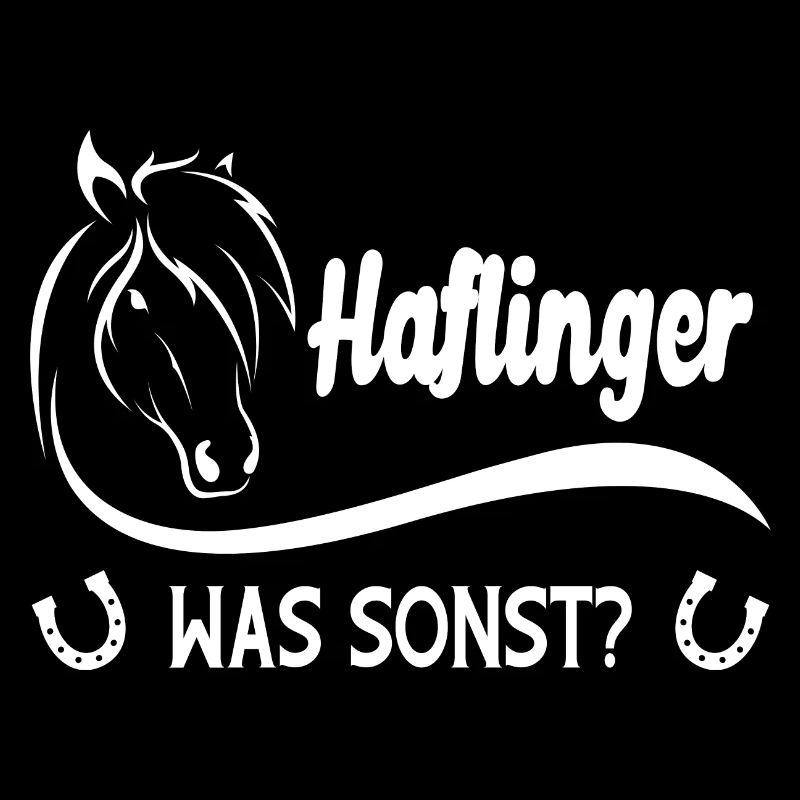 Haflinger Was Sonst Pferd Reiter