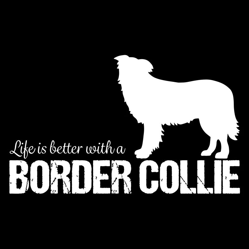 Border Collie Hund Geschenkidee