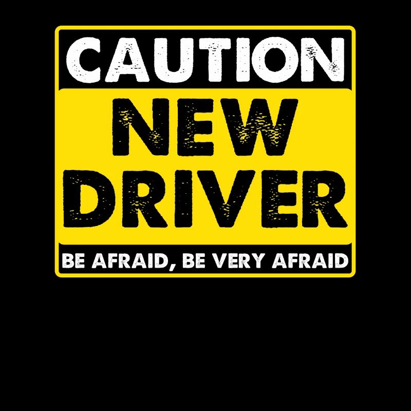 Driving School Driving Instructor