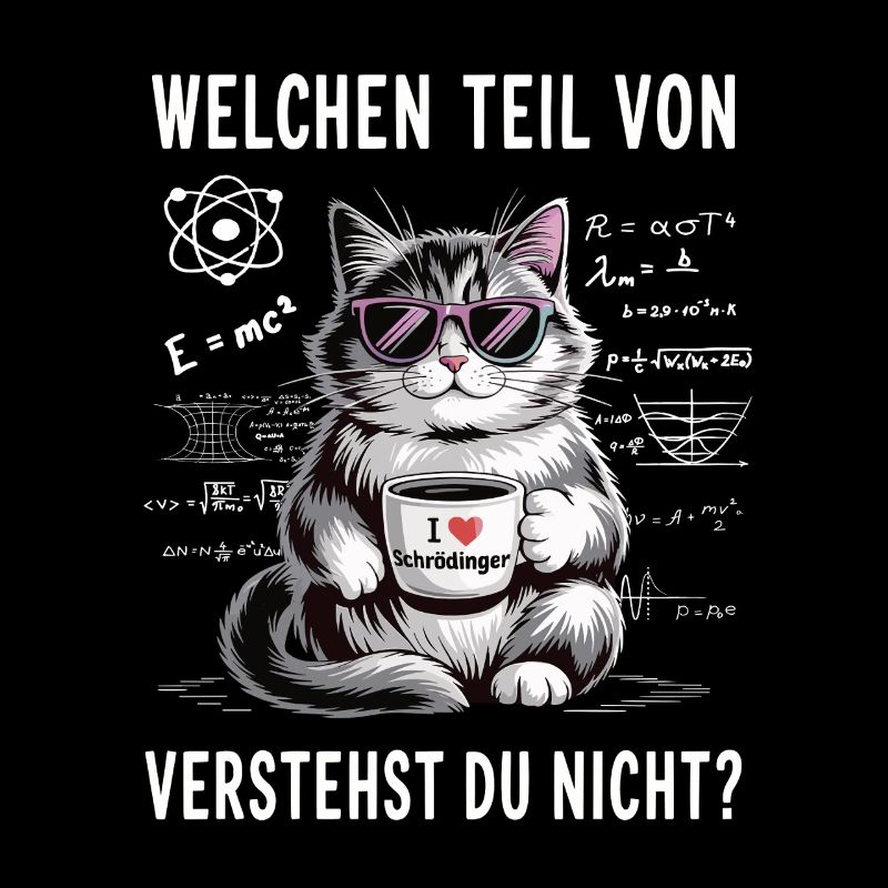 Welchen Teil von Quanten Physik vestehst du nicht