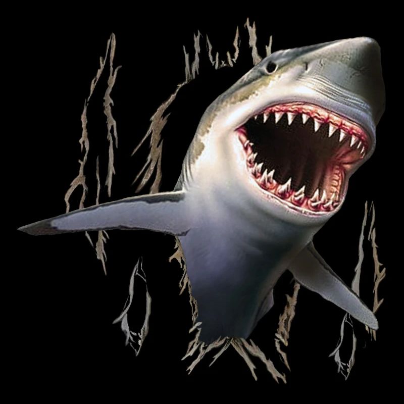 SHARK FROM TORN SHIRT