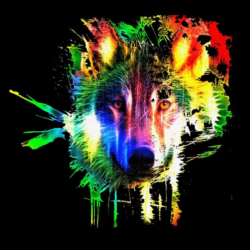 Wolf Splash Modern