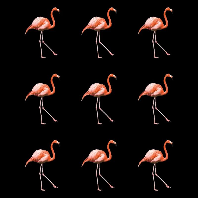 Flamingo parade
