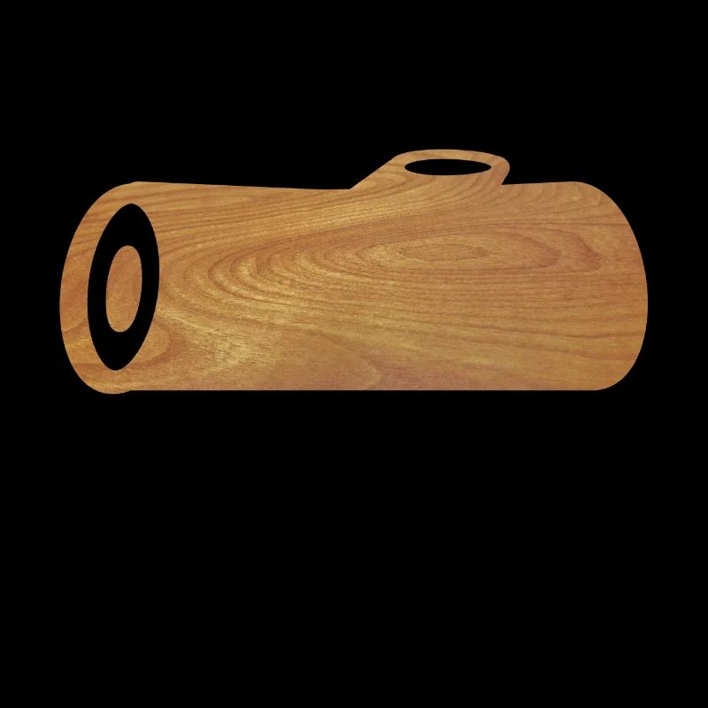 HOLZ