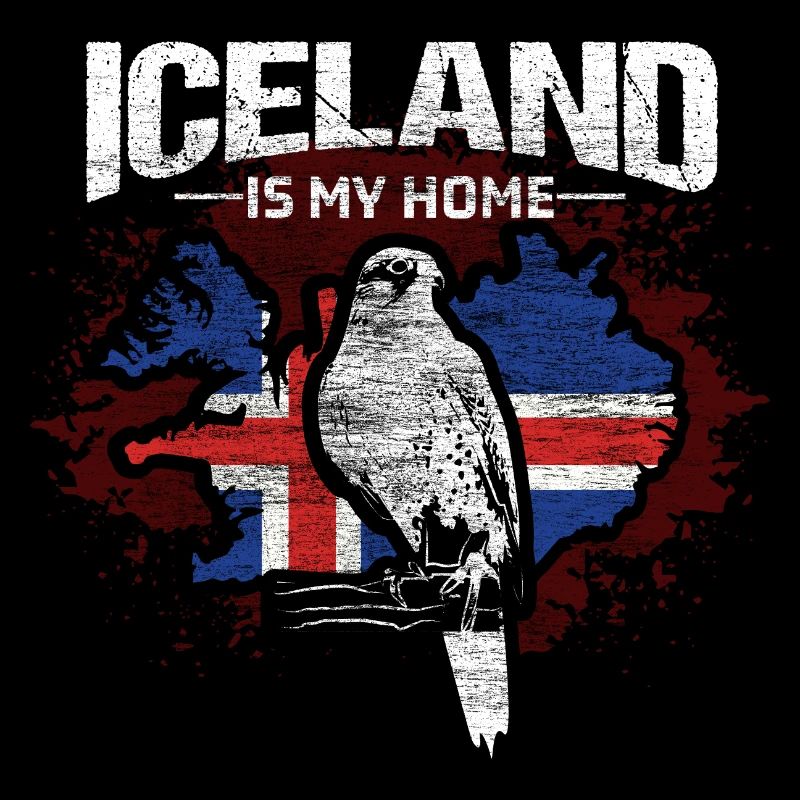 Island Wikinger Herkunft