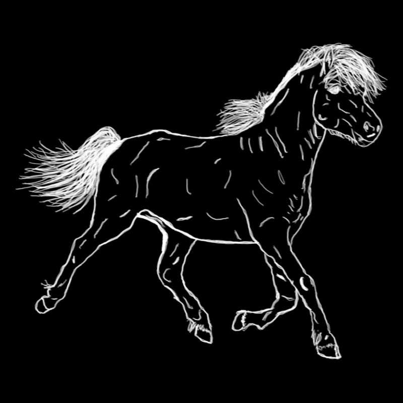 Poulain de cheval
