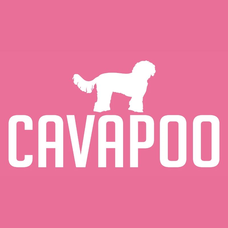 Cavapoo Dog races Chiens Wilsigns