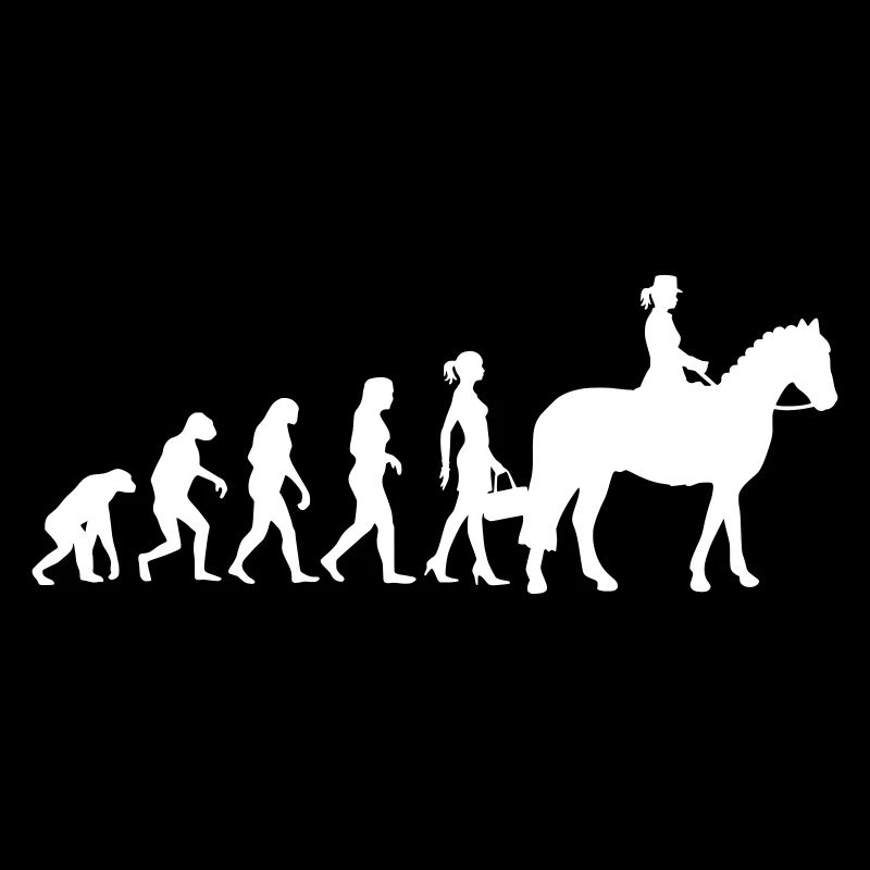Evolution Ladies équitation