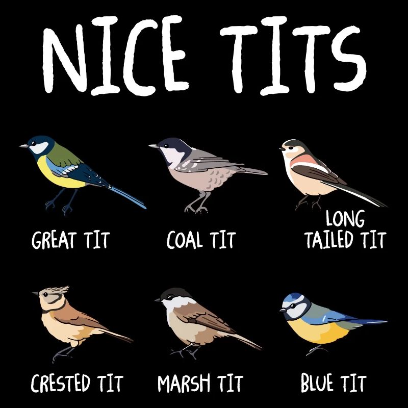Nice Tits Funny Bird Watching Tit Birdwatcher