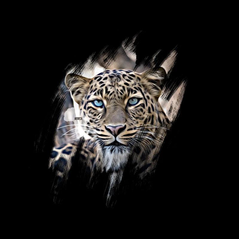 Afrikanischer Leopard