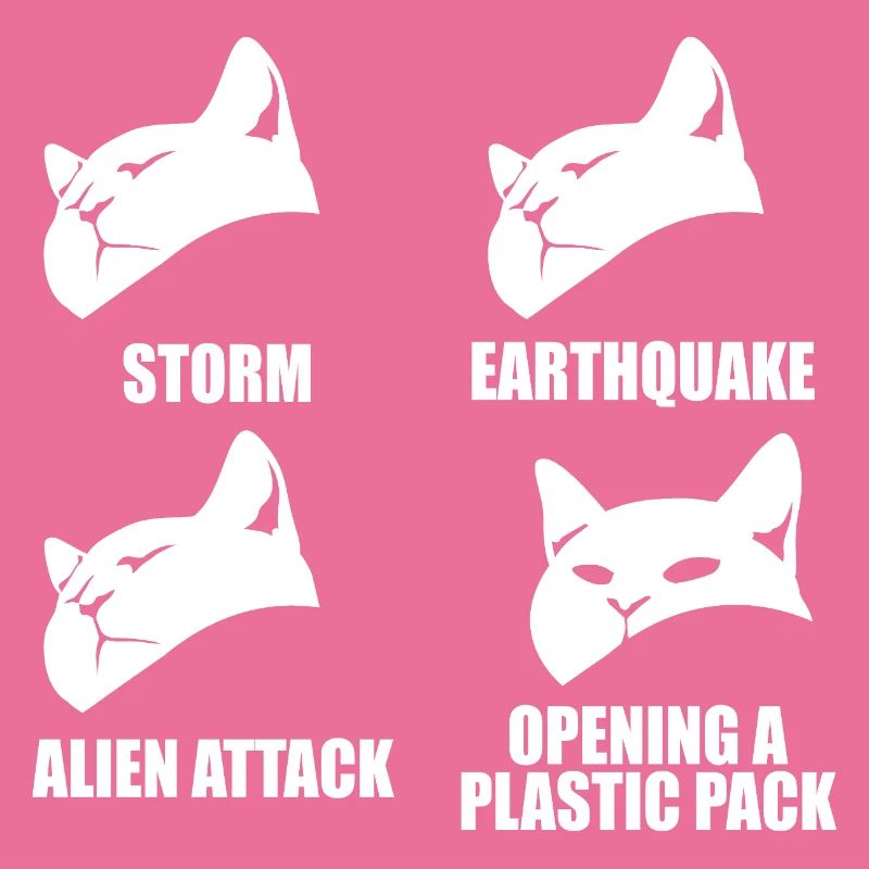 Chat - perception sélective - dire