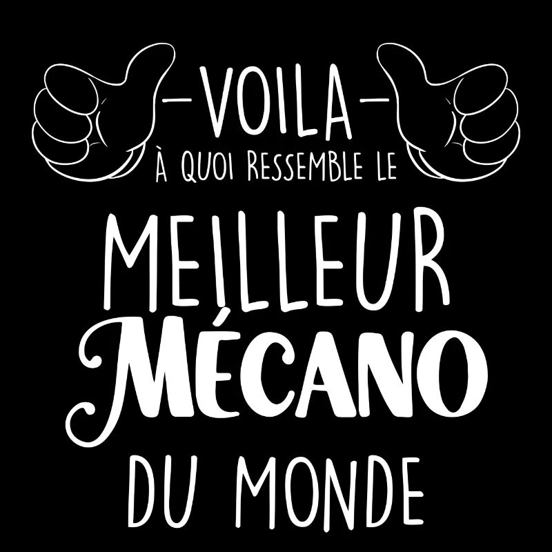 Le Meilleur Mecano C'est Le Mien
