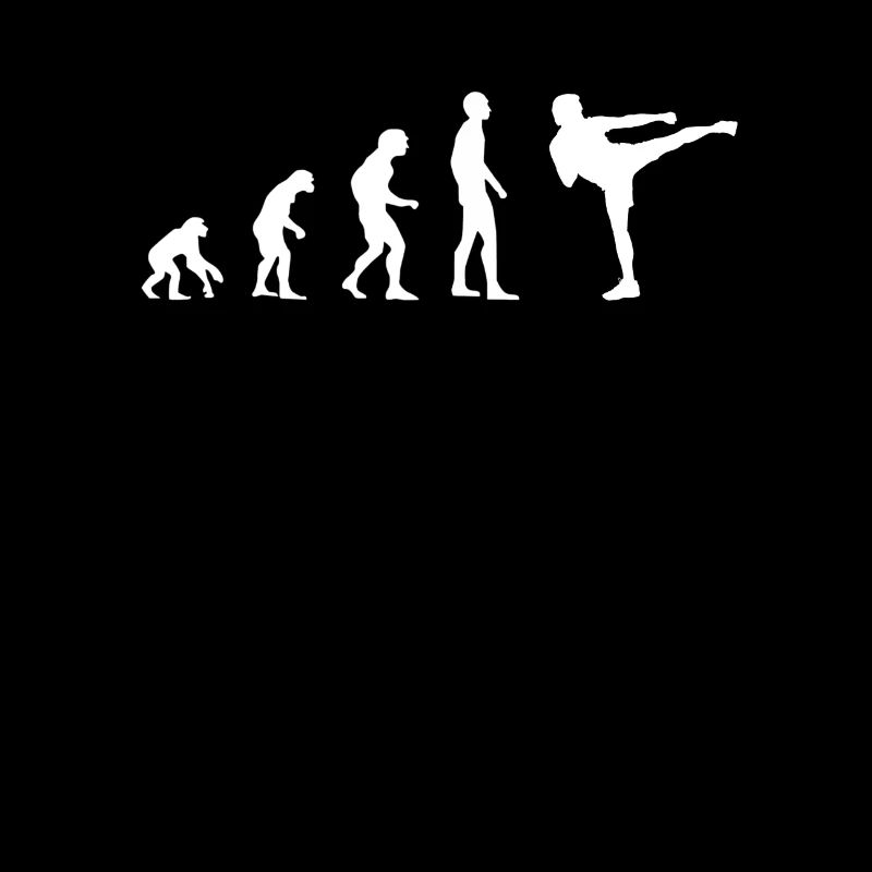 karaté kick shirt evolution cadeau idée cadeau