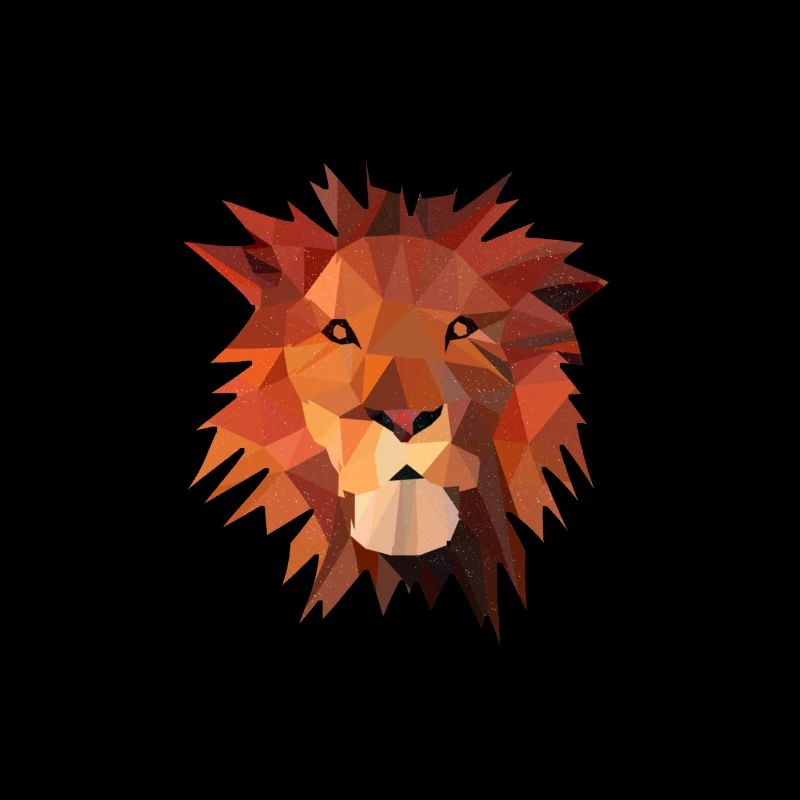 Lion gift gift idea