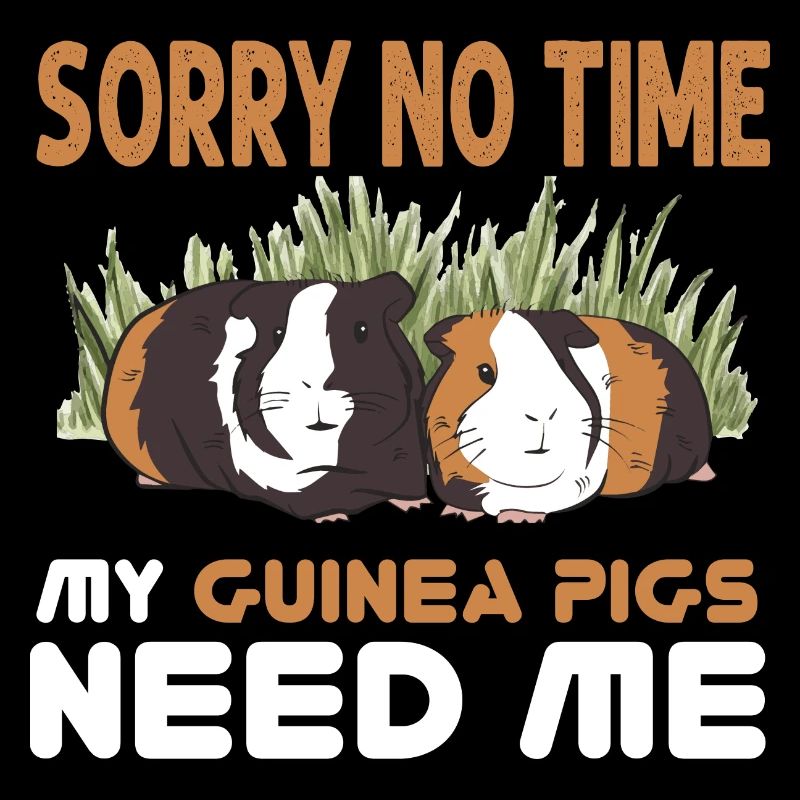 Doux cochon d’Inde