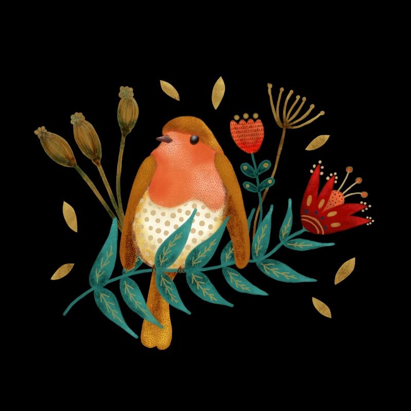 Vogel Roodborst Robin Oiseau