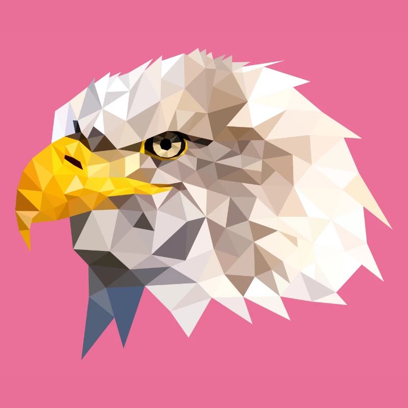 Bald Eagle Sea Eagle American Eagle Eagle