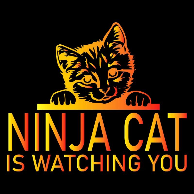 Chat Katze