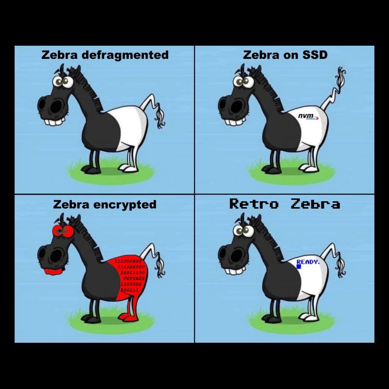 Zebra