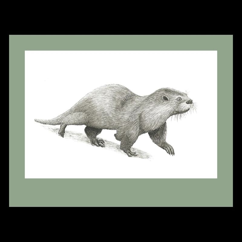230909 Otter 3