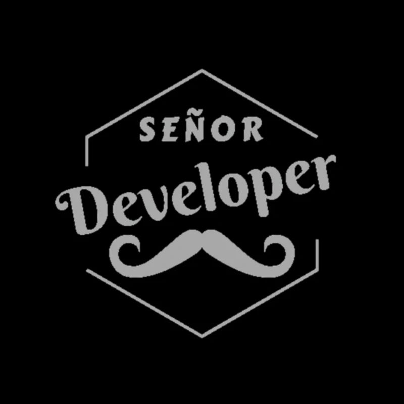 Senor Developer Developer Job