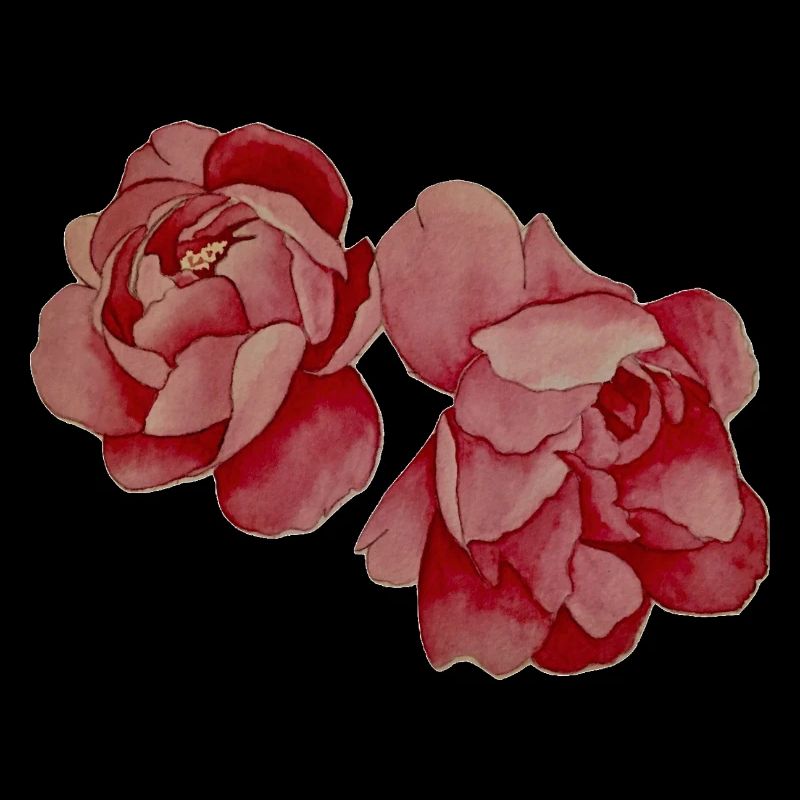 Peonies