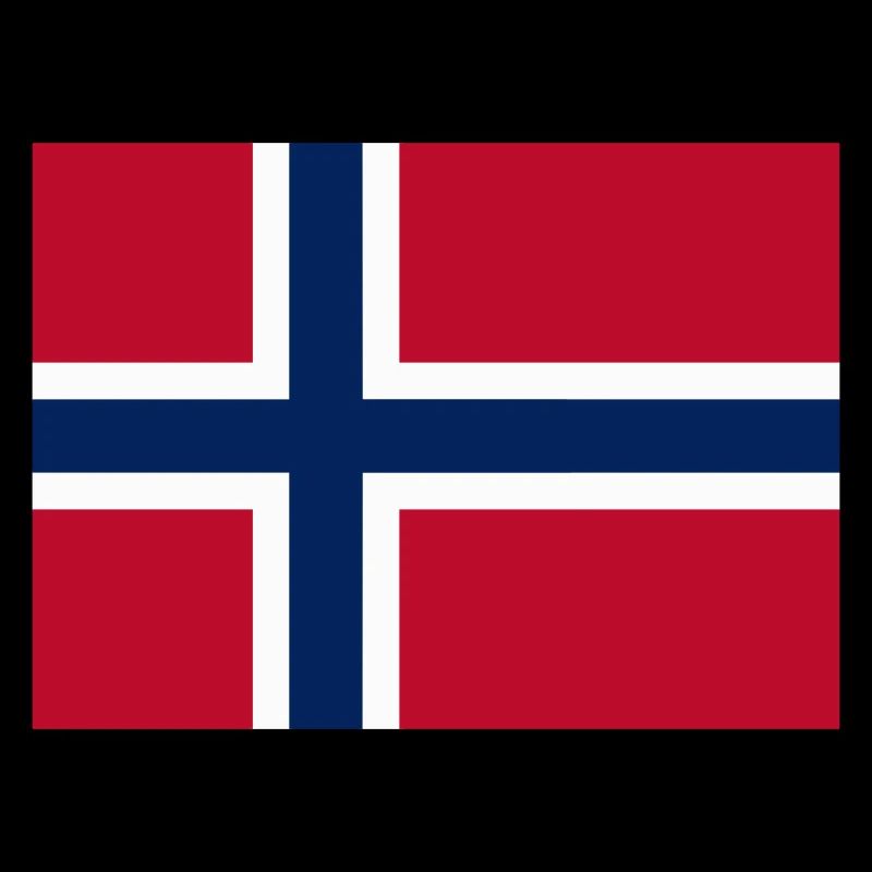 Norway flag