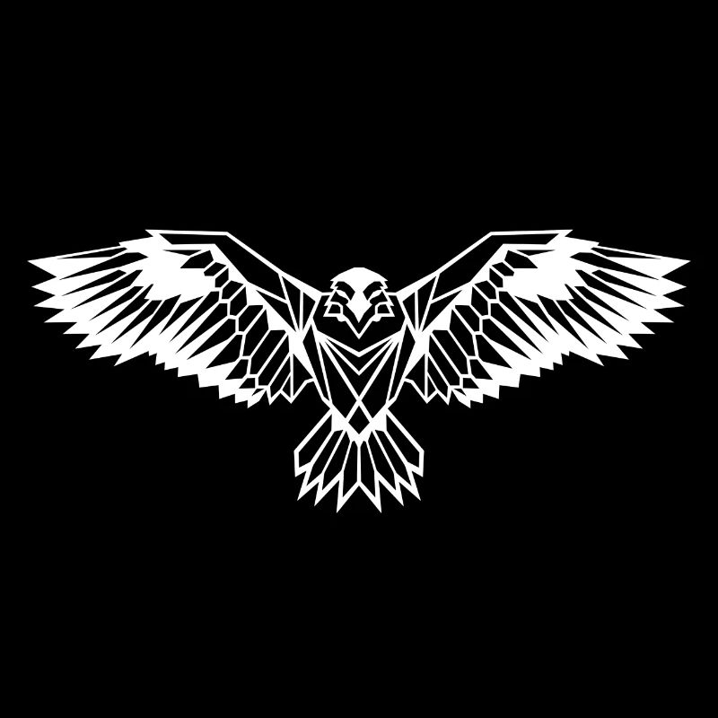 Minimaliste - Raven