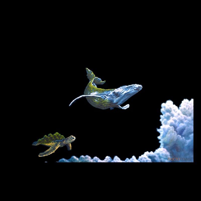 WAL and turtle copy