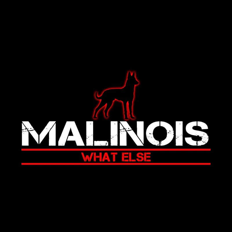 Malinois What else