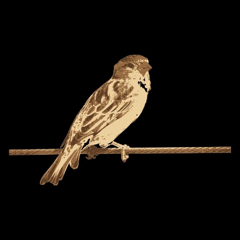 Sparrow bird