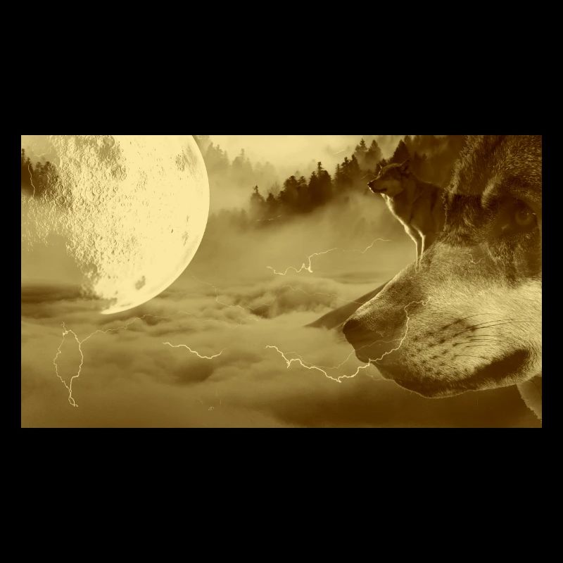 Wolf fantasy