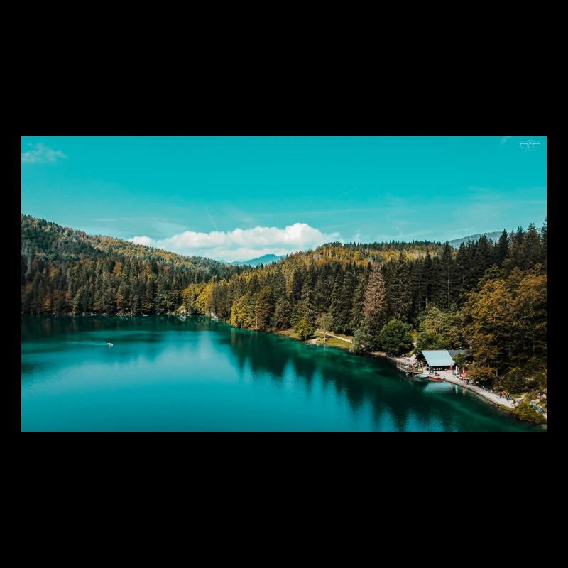 Fusine