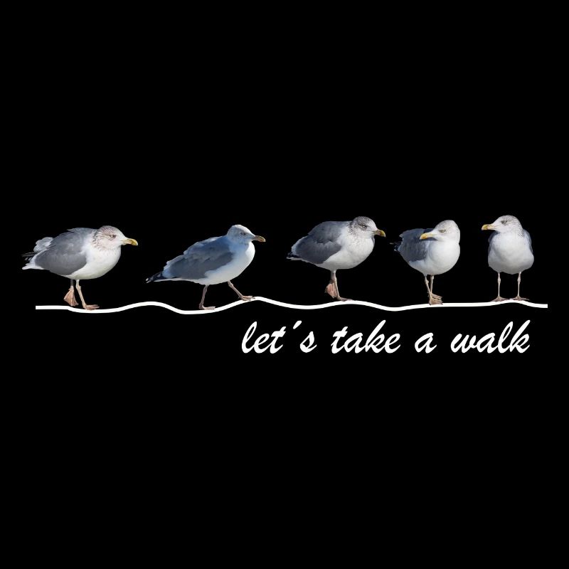 let ́s take a walk seagull beach sea Sylt Hiddensee