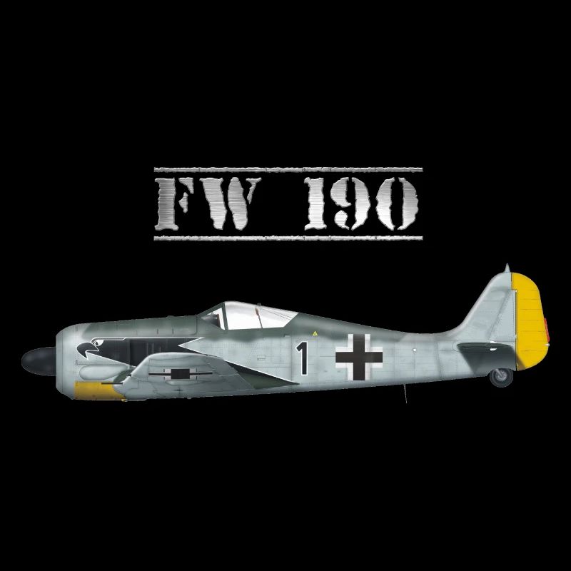 Focke Wulf FW 190 Jagdflugzeug