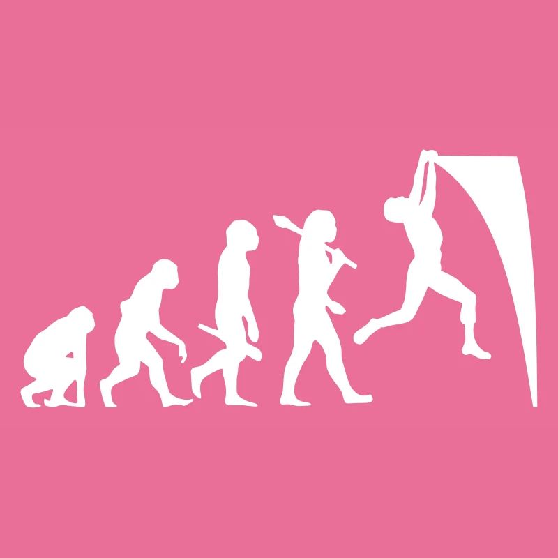 Ninja Warrior Evolution